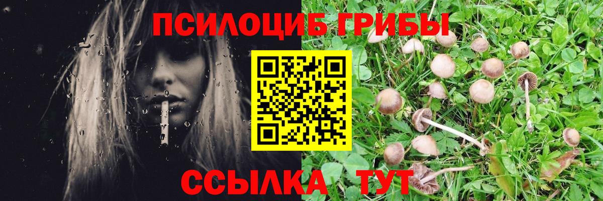 Псилоцибиновые грибы прущие грибы  Вход с VPN  Дагестанские Огни 