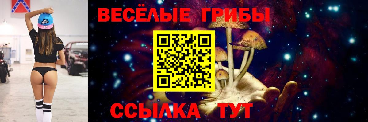 Галлюциногенные грибы Cubensis Дагестанские Огни